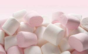 Connaissez-vous le test du Marshmallow ?