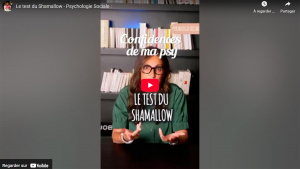 Test du Shamallow : Le vrai piège du bonheur instantané